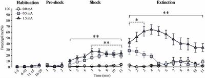 Differential Phosphorylation of the Glucocorticoid Receptor in Hippocampal Subregions Induced by Contextual Fear Conditioning Training